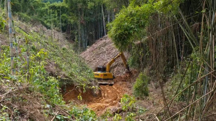 林间“藏龙”，竹海“卧虎”——pp电子林业挖机广西侠客行